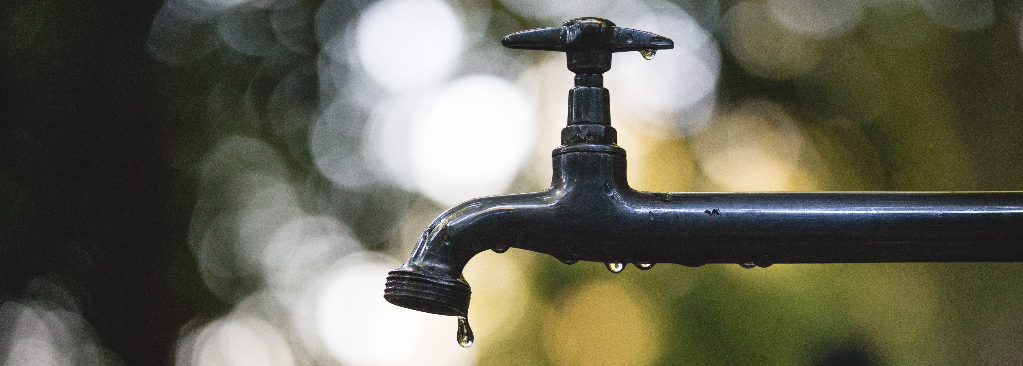 5 Simple ways to save water from South East Water