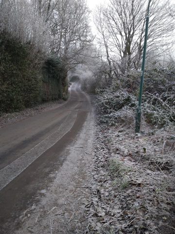 Frosty scene