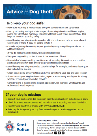 dog theft poster