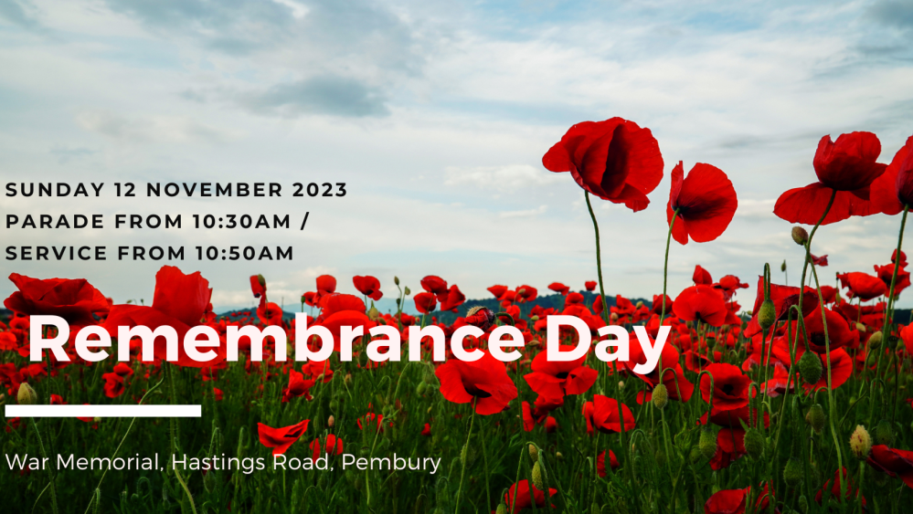 poster for Remembrance